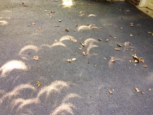 Pinhole camera effect partial solar eclipse